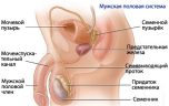 Обтурационное и секреторное мужское бесплодие